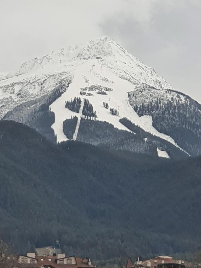 Тодор Прегьов Bansko Exterior photo